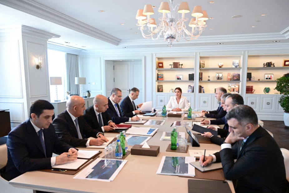 Birinci vitse-prezident Mehriban Əliyevanın sədrliyi ilə Rəqəmsal İnkişaf Şurasının ilk iclası keçirilib: Milli Məlumat Hövzəsi yaradılır
